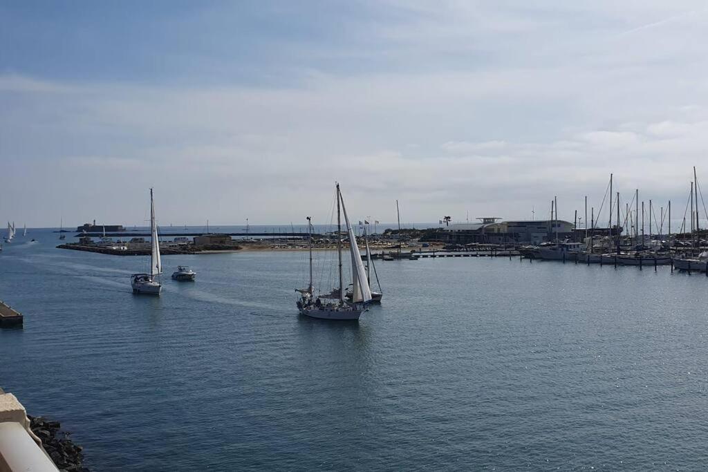 Avec Balcon, Vue Mer, Piscine, Parking Agde